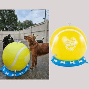 Bigmouth Tennis Ball Dog Water Pet Sprinkler Summer‎ Spring 2 Foot Tall